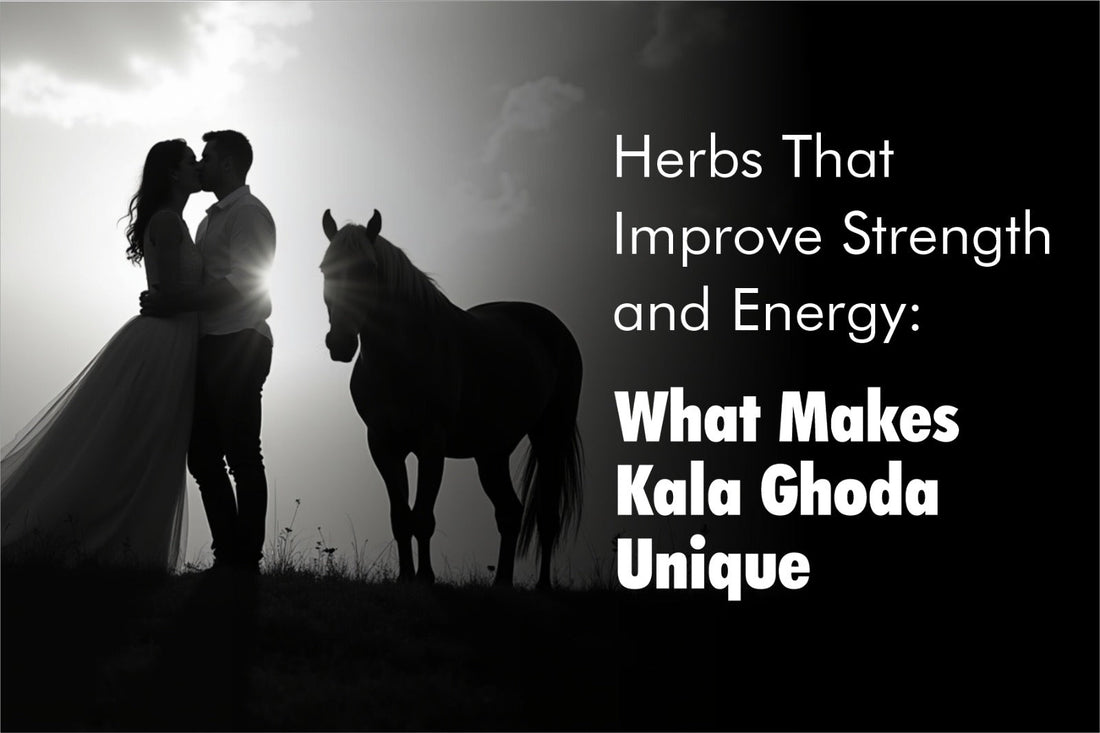 Herbs That Improve Strength and Energy: What Makes Kala Ghoda Unique